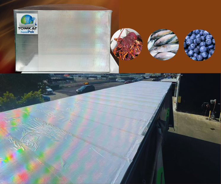 Self-cooling food supply chain and cool box application implemented in Queensland, Australia