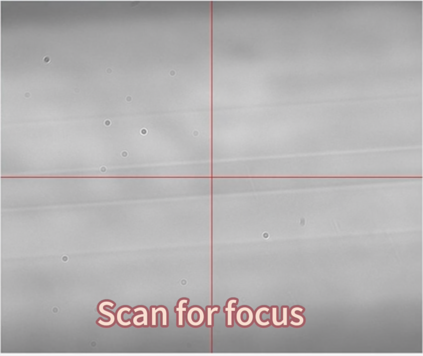 AI Assisted Fiber Core Recognition