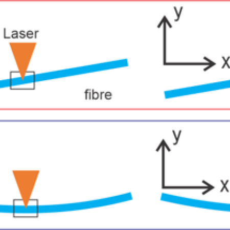 Automatic_Fiber_Core_Tracing_Labelled