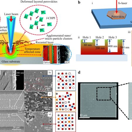 Direct laser writing on halide perovskites- from mechanisms to applications